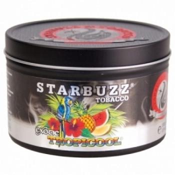 Starbuzz Bold Tobacco Shisha 250g