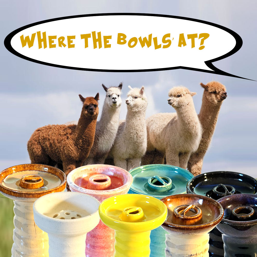 Alpaca Bowls - What's What?