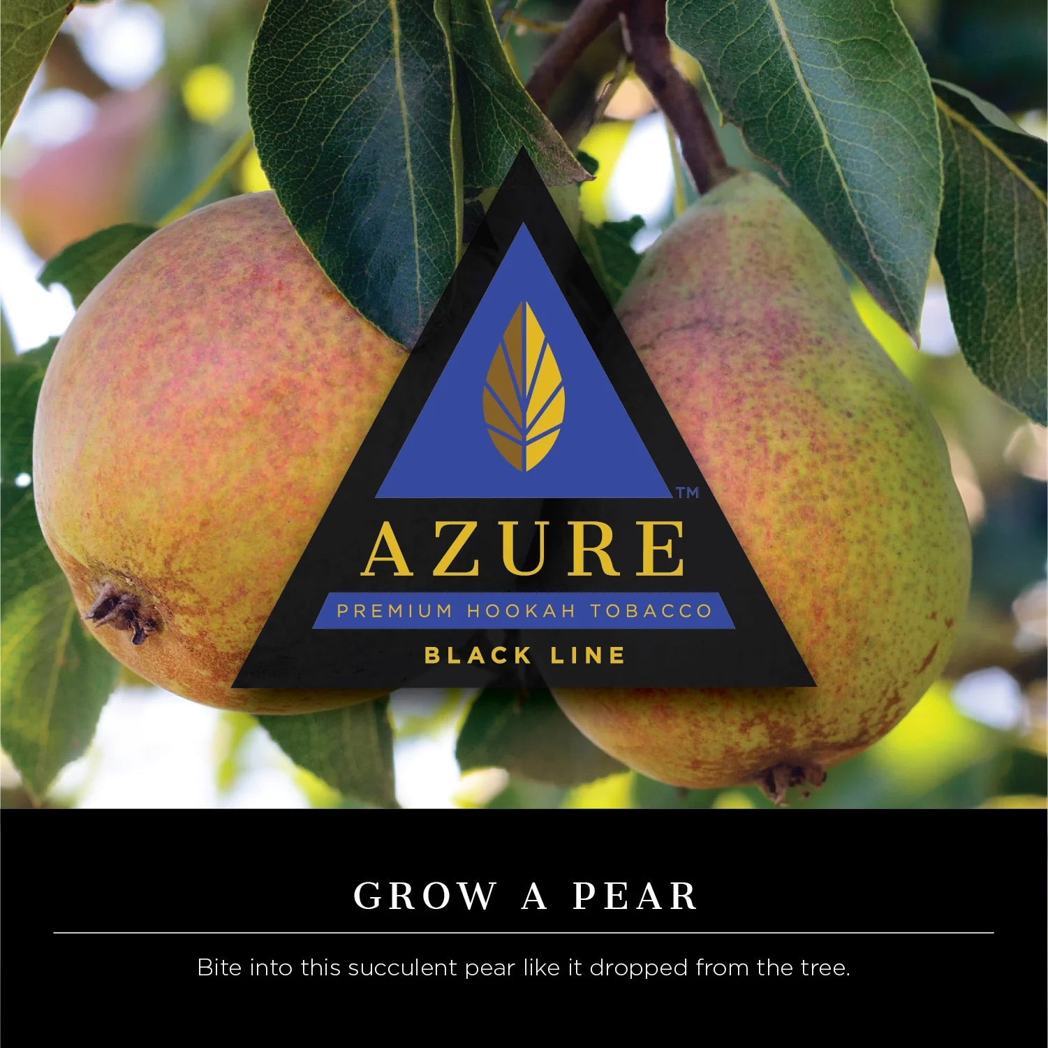 Azure Shisha Tobacco Black Line - 100g