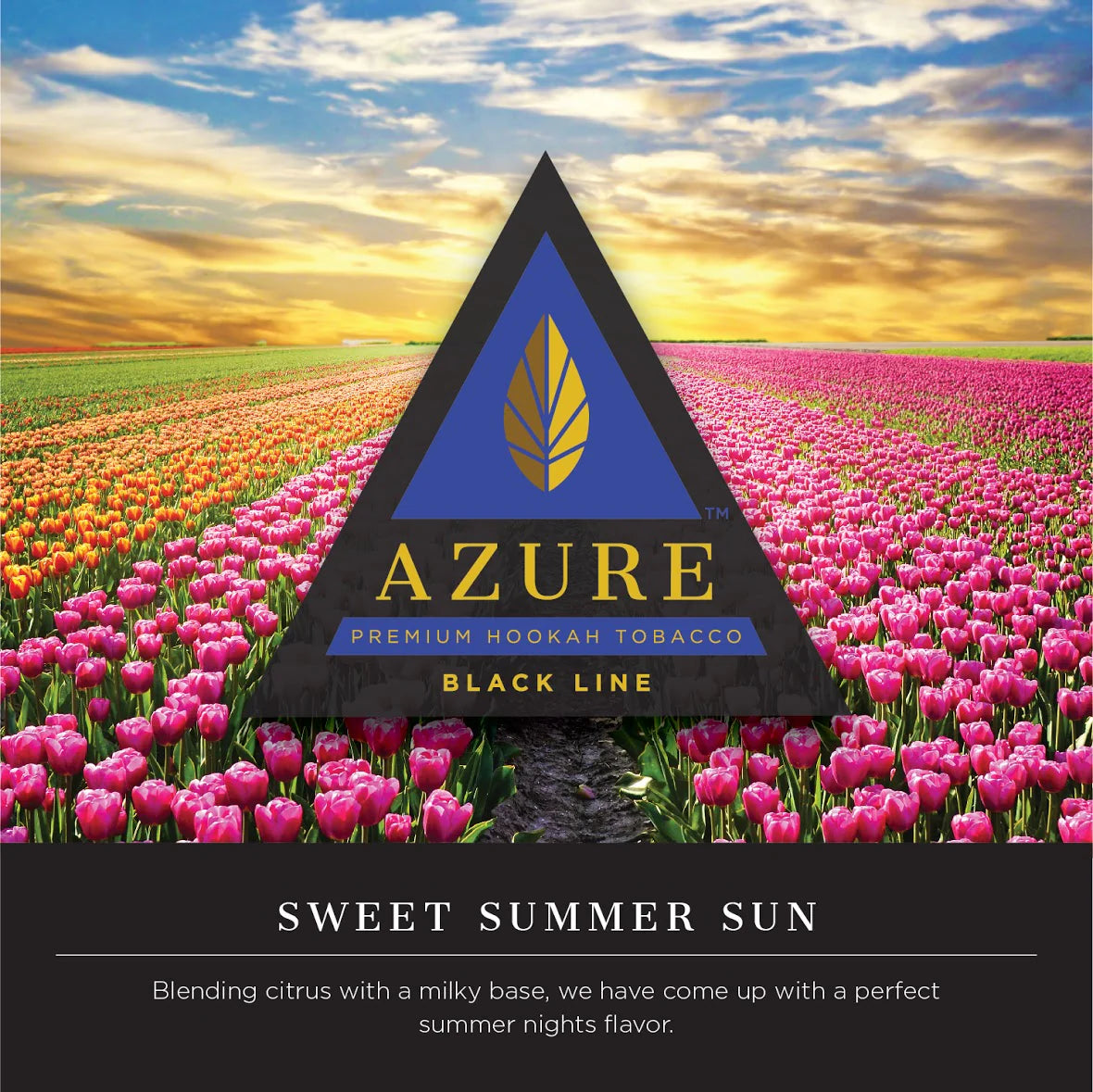 Azure Shisha Tobacco Black Line - 100g