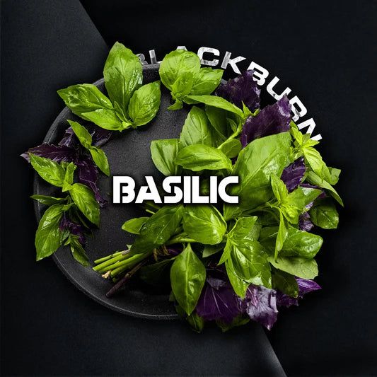 BlackBurn Basilic Hookah Tobacco